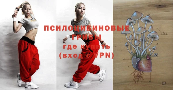 ешки Семилуки